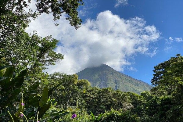 Arenal & Monteverde