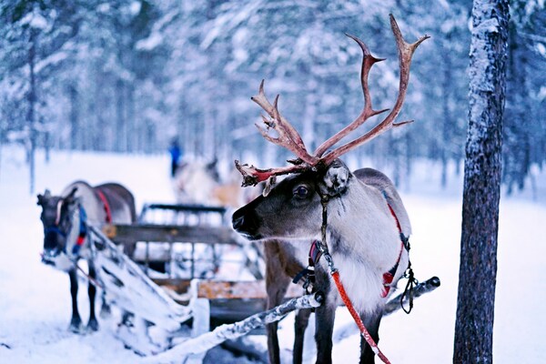 Lapland