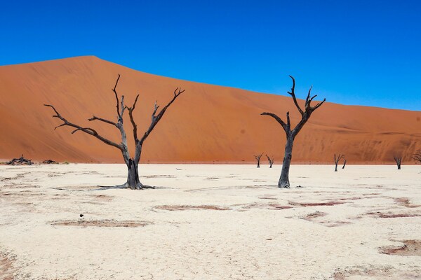 Sossusvlei & Namib