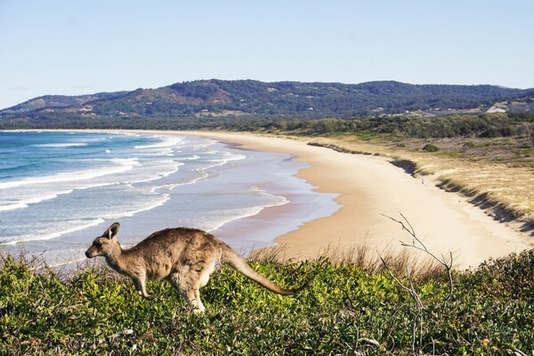 Australië