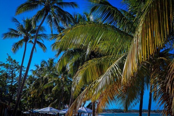 Dominicaanse Republiek